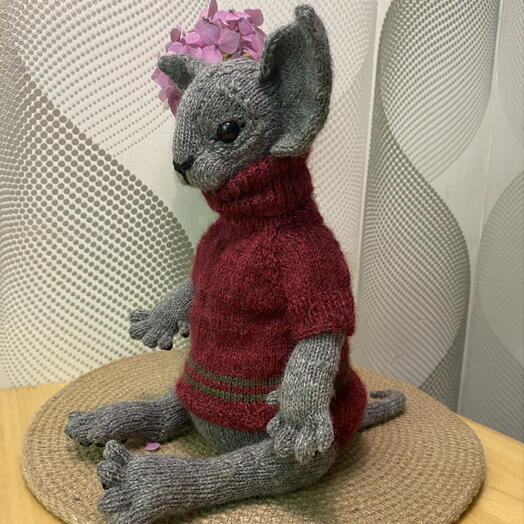 Кот Сфинкс