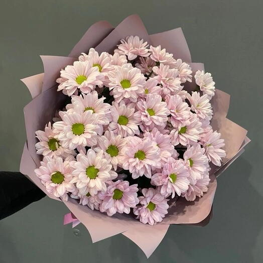 Букет розовых хризантем кустовых