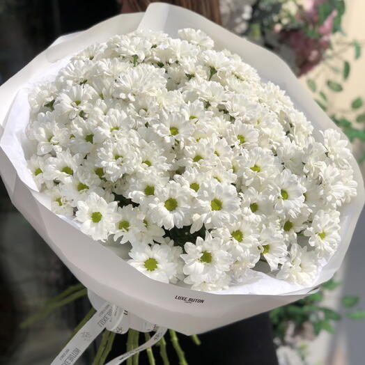 Букет цветов из ромашковой кустовой Хризантемы 21шт