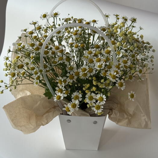 Сумка с ромашками 🌼