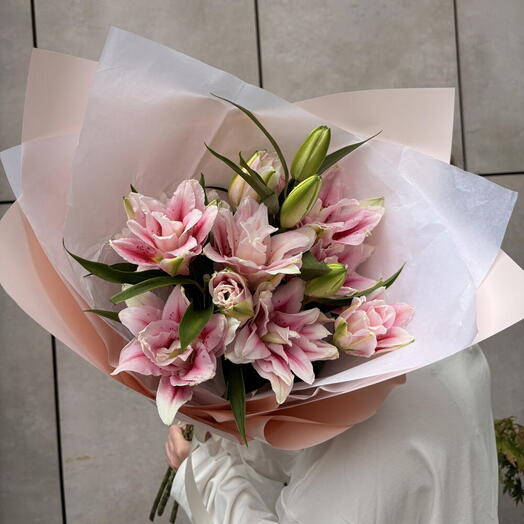 Lily Blush