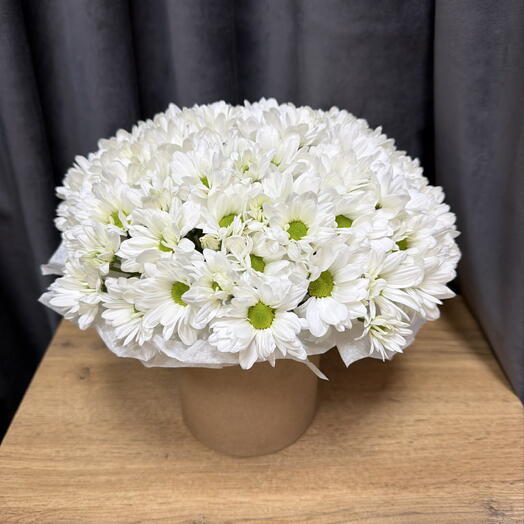 Коробка с ромашковой хризантемой 🌼