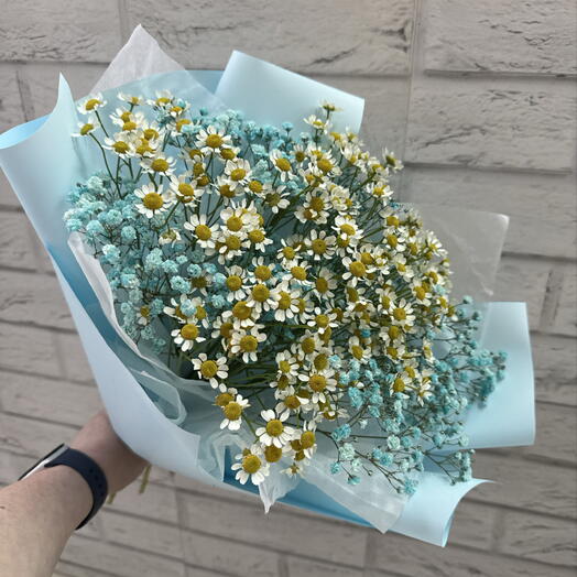 Букет ромашек с гипсофилой