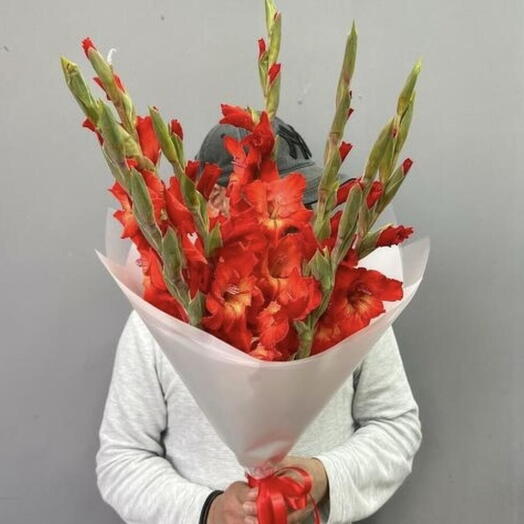 Алые гладиолусы 7 шт 🌹