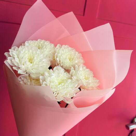 Хризантема комплимент 💐