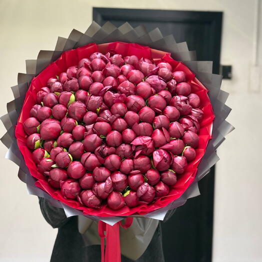Пионы Бордовые 101 штука