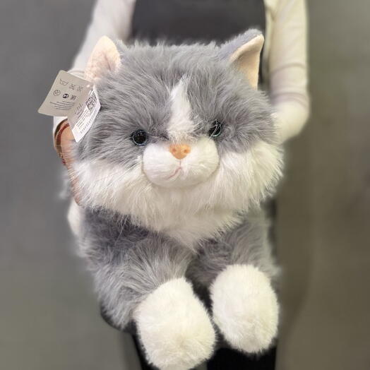 Кот лежачий