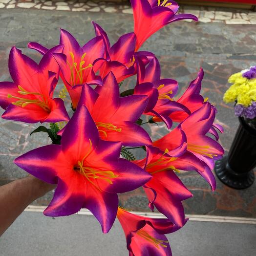 Лилия 13 гол