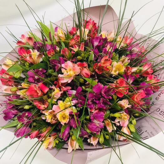 Радужная альстромерия