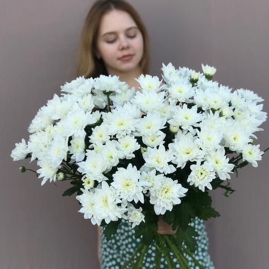 Хризантема белая 15 шт