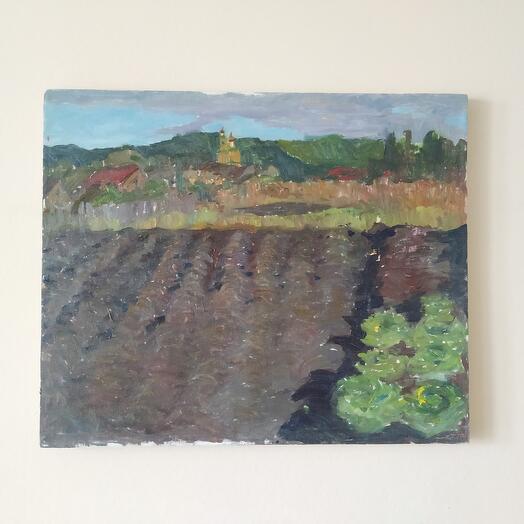 "Cabbage harvest"