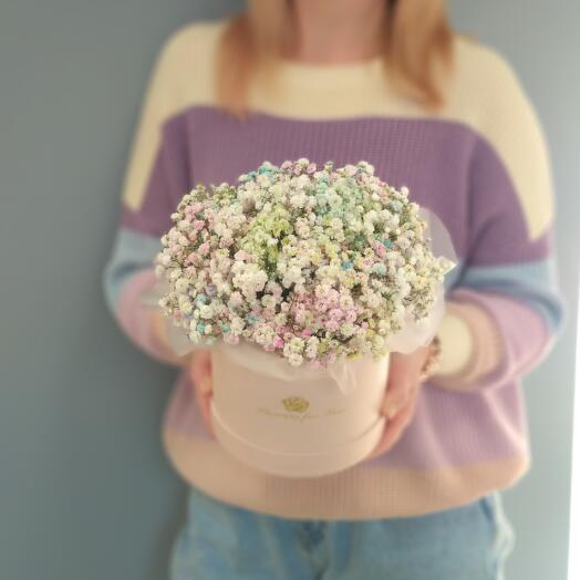 Composition of Gentle Gypsophila