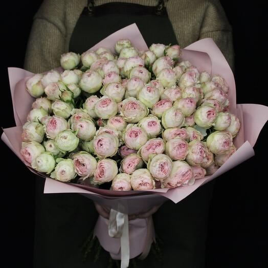 25 bush peony roses