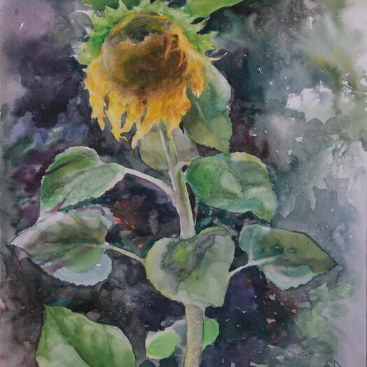 Girasol, flores, naturaleza, acuarela, papel, acuarela