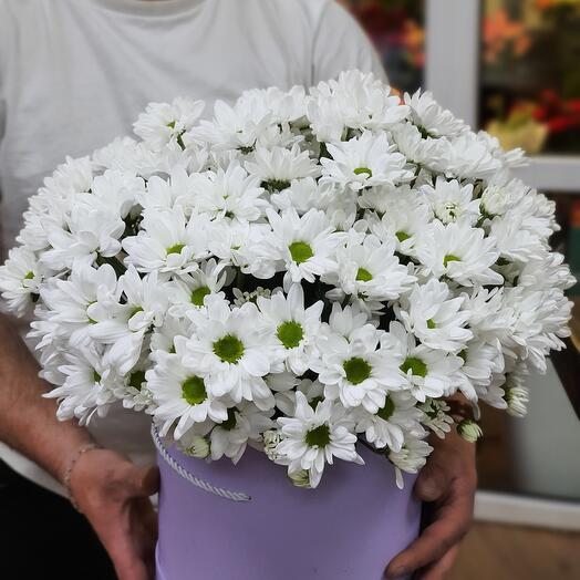 Daisies in a box
