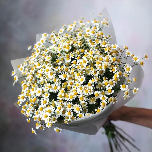 Ромашки (15 шт)