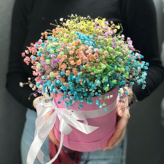 🌈 гипсофила в коробке