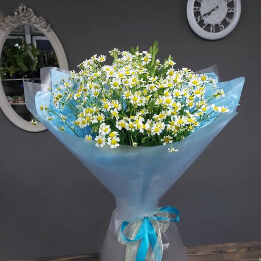 Ромашки 🌼