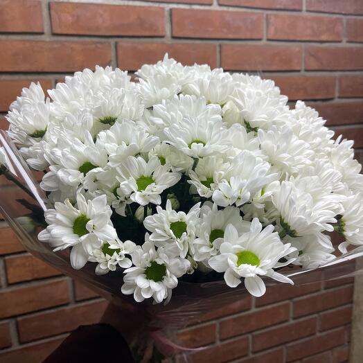Букет из 11 ромашек