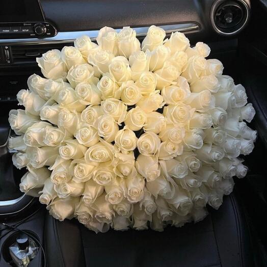 101 White Ecuadorian Roses