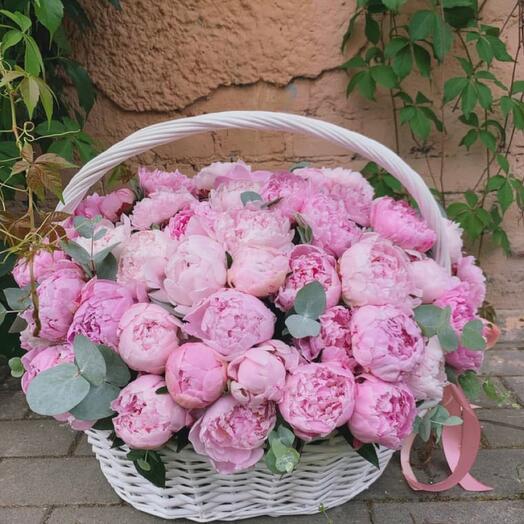 Basket of 101 peonies "PEONY GLOSS!"