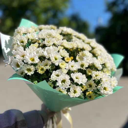 Мини ромашка