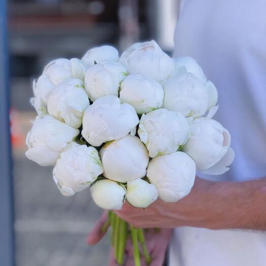 White peonies