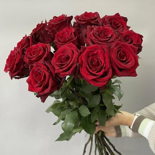 15 красных роз Эквадор🌹