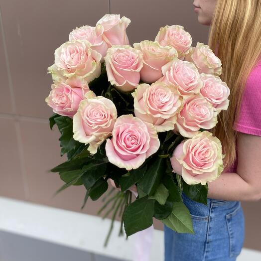 Роза Эквадор 15шт