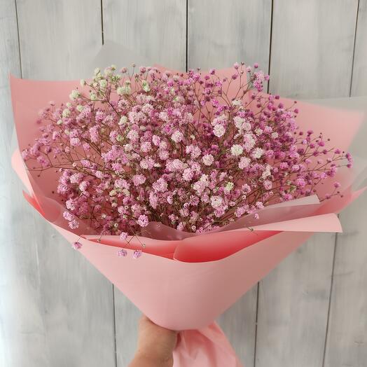 Bouquet of pink gypsophila