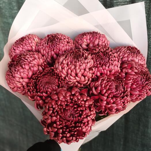 Помпонные хризантемы