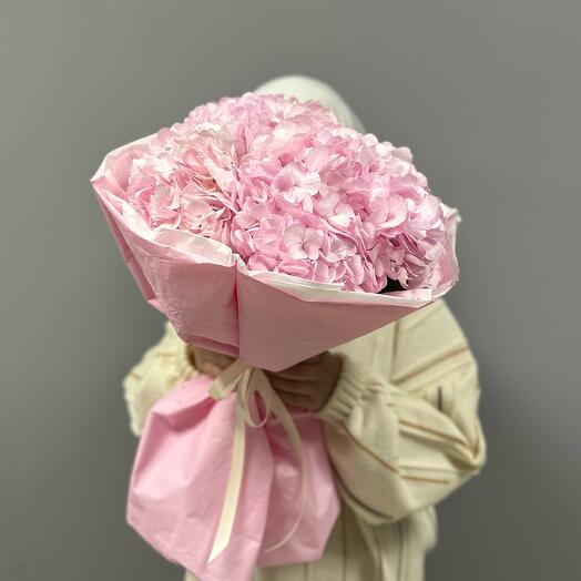Pink hydrangea in a pink package