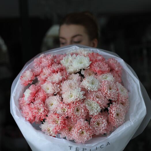 Облако коралловых хризантем