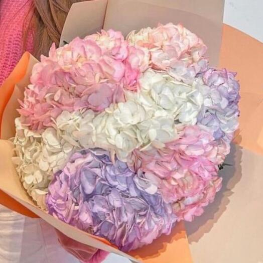 Bouquet of mixed hydrangeas