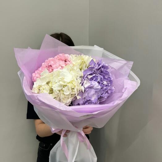 Любовь к Гортензии 🌸🌸