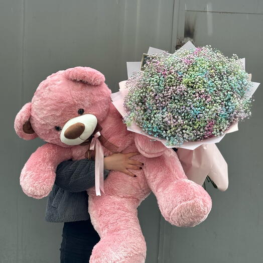 Teddy bear and Gypsopilla