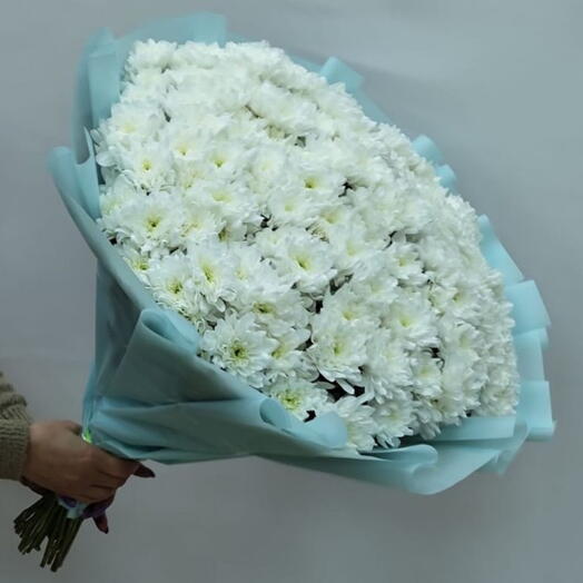 Шикарная Балтика