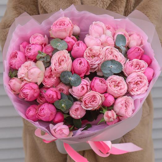 Mezcla de rosas arbustivas en forma de Peonía 💞