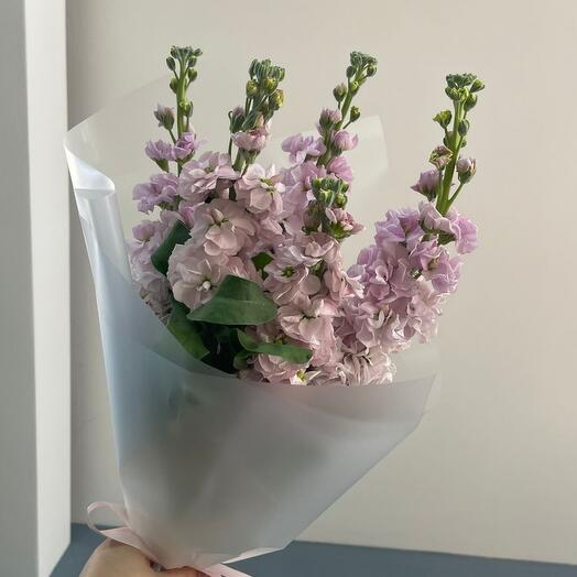 Букет из ароматной матиоллы