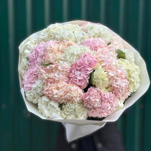 Hydrangeas mix 25pcs