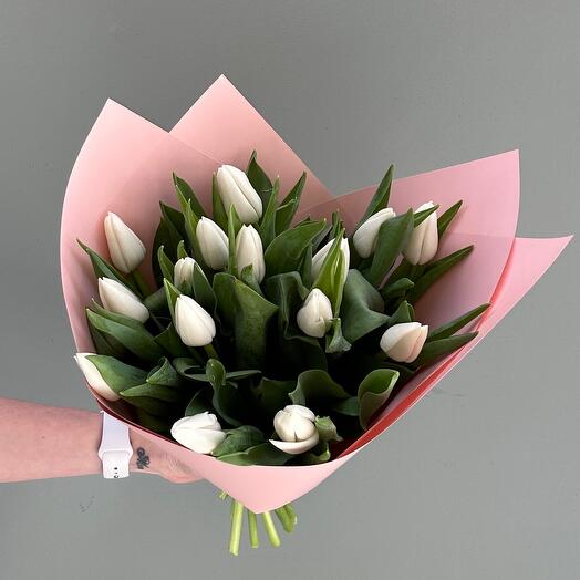 15 Tulipanes blancos