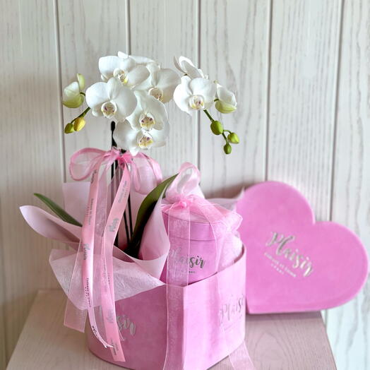 Miniature orchid and chocolate in pink heart box