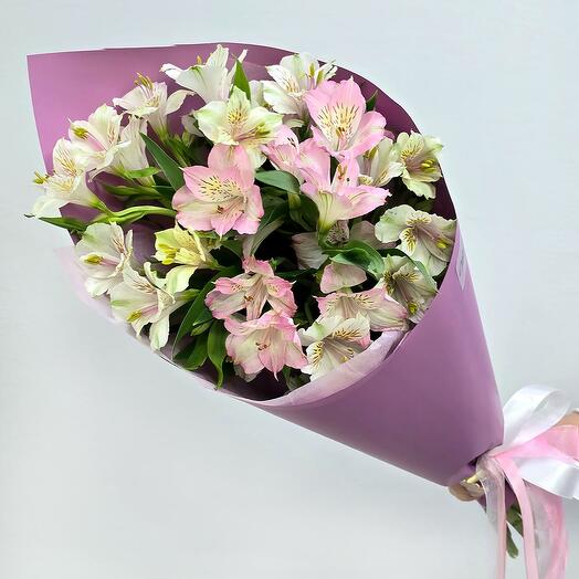 Saludos de luz de alstroemeria