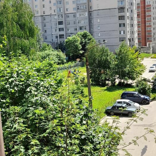 Тест