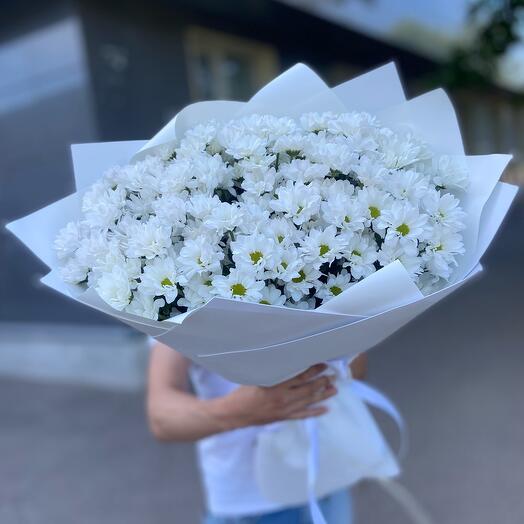 Хризантема ромашка