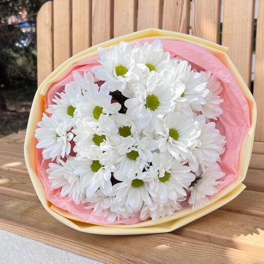 Ромашка комплимент