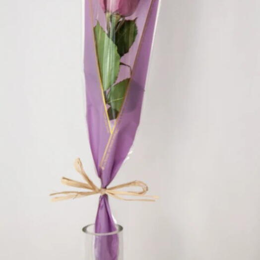 Purple Single Rose