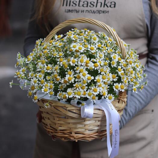 Корзина с ромашками