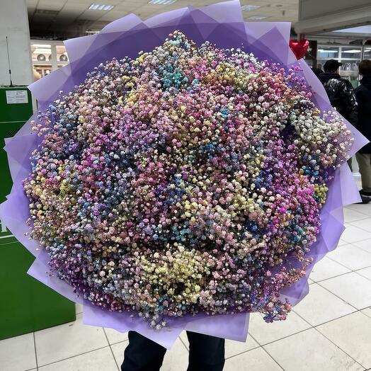 51 Гипсофила