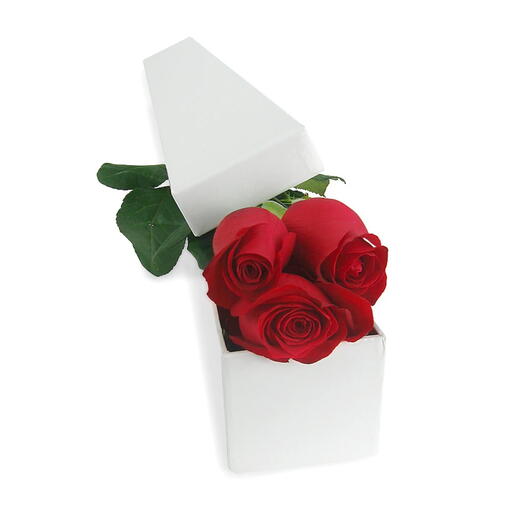 Red Rose Radiance